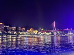 -珠江夜游省总码头