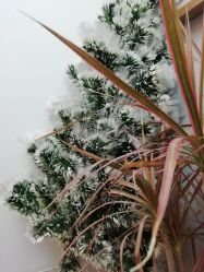 -THE LOG SALON 记录