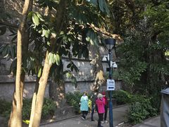 -九龙公园