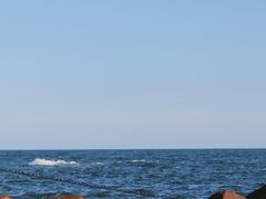-广东惠东海龟国家级自然保护区