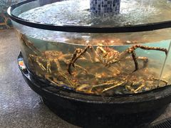 -寻味顺德·珍之宝酒楼(银钻店)