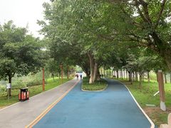 -眉山湿地公园(东坡区)