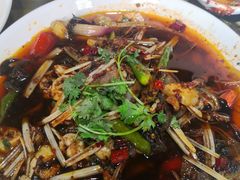 -小杨翘脚牛肉