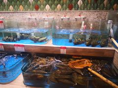 水产区-阿杜打边炉(五江天街店)