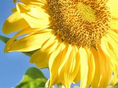 -粉小主·贵州酸汤牛肉粉(南京仙林金鹰店)