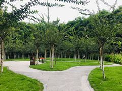-重庆彩云湖湿地公园