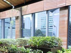 -新加坡乌节希尔顿酒店 (SG Clean)