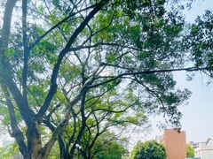 -晓港公园