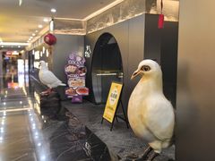 -琬苑鸽庄·川粤融合菜(解放碑总店)