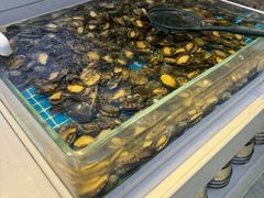 -集品鲜湾·蒸汽海鲜自助料理(青岛银座和谐广场店)