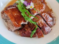 招牌烧鹅-椿记烧鹅(叠彩店)