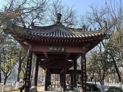 -莲湖公园