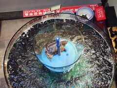 -魏铭鱼头捞饭(嘉善店)