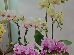 -EPOQUE·一刻花店(兴业太古汇店)