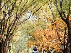 -唐城墙遗址公园