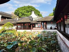 -上海醉白池公园