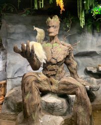 -Zoolung Zoolung动物主题公园(海信广场店)