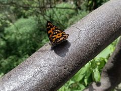 -萍乡武功山风景名胜区