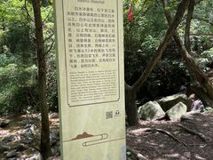 -白水冲瀑布