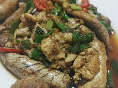 -金砂阿洲鱼册店