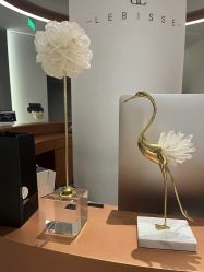 -LB·海菲秀牛奶光官方体验中心