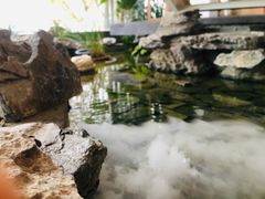 -纳地素食(石门公园店)