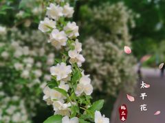 -北京动物园