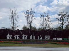 -上海滨江森林公园