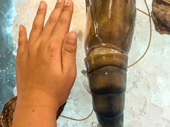 -Ministry of Crab(科伦坡店)