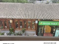 -Sirena海妖日咖夜酒