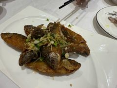 -新一家农家菜(华景新城店)