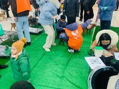 -凯德MALL(望京店)