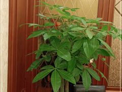 -金时代顺风大酒店(金山店)