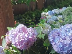 -一尺花园(安和花园店)