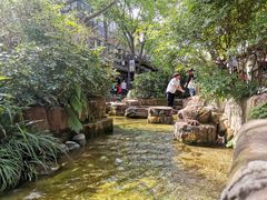 -黄龙溪古镇