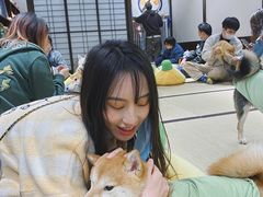 -逗柴咖啡屋·狗咖猫咖宠物桌游