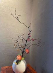 -美肤盾祛痘·问题肌头疗管理中心