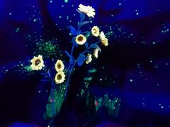 -芜湖方特东方神画