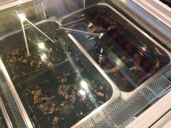 -鸿运兔·手撕烤兔(天府广场店)