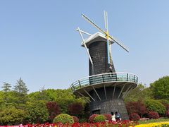 -上海鲜花港
