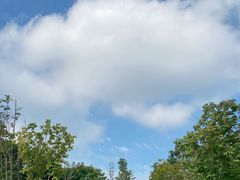 -白鹭湾湿地公园