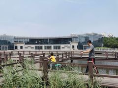 -绿岛公园(滨海新区)