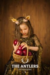 -梵梦影像馆(绿博园店)