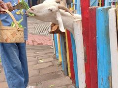 -西部长青自然儿童乐园