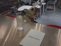 -KYO COFFEE(胶州路店)