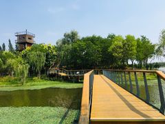 -东郊湿地公园