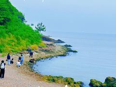 -巢湖姥山岛