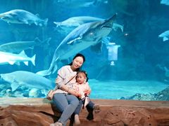 -华夏文旅海洋公园