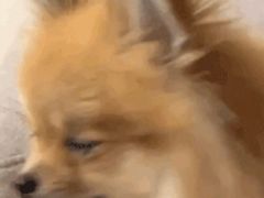 -建辉湖南土菜馆(南大街店)