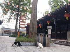 -昭庆寺